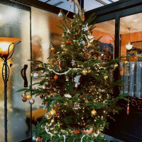 11月末からクリスマスツリーを出してくださいます