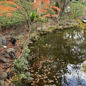 庭園|789432さんのホテルニューオータニの写真(2629804)