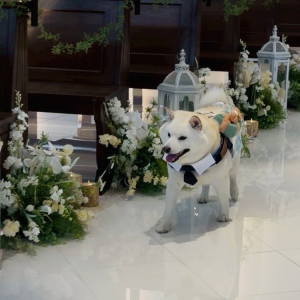 リングドックとバージンロード|789650さんのアイネスヴィラノッツェ宝ヶ池(クラウディアホールディングスグループ)の写真(2630316)