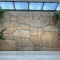 光が入り明るいです。