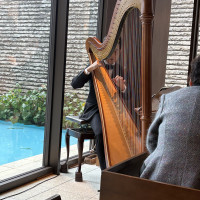 式場のハープ演奏