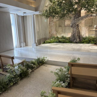 オリーブの木の由来が素敵だと思いました！