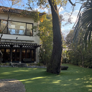 ガーデンウェディングのシンボルの木が素敵でした。