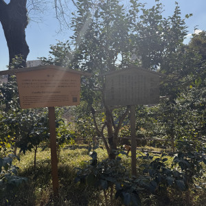 中庭|790115さんのホテル椿山荘東京の写真(2632044)