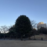 1月下旬のガーデン挙式会場です。