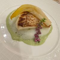 魚