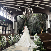 緑いっぱいの会場です。