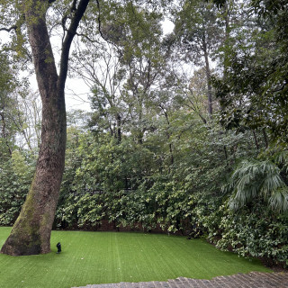 シンボルツリー