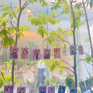 ニーズ大津 by T&G WEDDING(旧 アクアテラス迎賓館 大津)のクチコミ 庭・ガーデンの写真(1枚目)