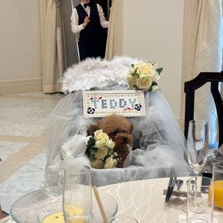 ニーズ大津 by T&G WEDDING(旧 アクアテラス迎賓館 大津)のクチコミ 演出の写真（1枚目）