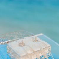 貸していただいたリングピロー