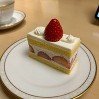試食