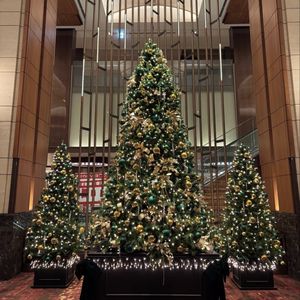 クリスマス装飾あり|792265さんの東京會舘の写真(2640810)