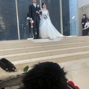 ドックランも問題なく,足が悪いので
犬用カートになりました笑|792545さんのアールベルアンジェ高松の写真(2641640)