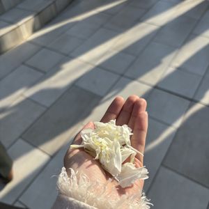 フラワーシャワー|793020さんのアートグレイス ウエディングコースト 東京ベイの写真(2645286)