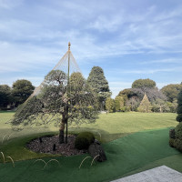 一階から見えるお庭の景色