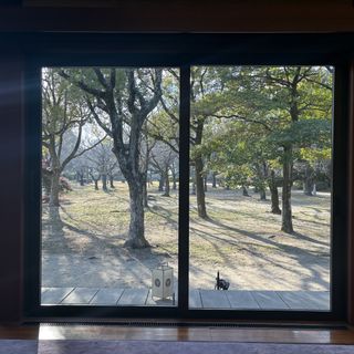 披露宴会場から見える景色、窓側
