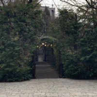 グリーンのトンネルをくぐるのは少しワクワクしました。