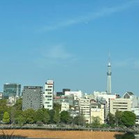 チャペルから見える景色です