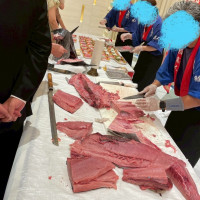 マグロ解体中