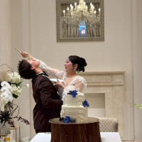 ファーストバイト