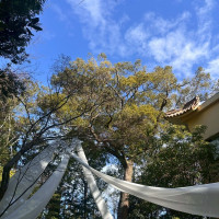 ガーデン挙式の布