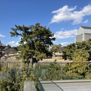 披露宴会場から見える外の景色。|794727さんのKOTOWA 奈良公園 Premium View(コトワ 奈良公園 プレミアム ビュー)の写真(2649716)