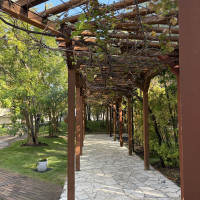 季節によってはぶどうがなっているかもです。