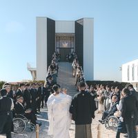 晴天の中のフラワーシャワー