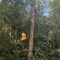 コスメブーケの代わりにぬいぐるみを投げました