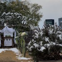 朝は暗い