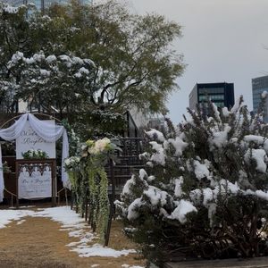 朝は暗い|796939さんのパラッツォ ドゥカーレ 麻布 (Palazzo Ducale AZABU)の写真(2658866)