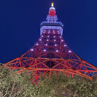 ガーデンからの夜の東京タワー