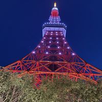 ガーデンからの夜の東京タワー