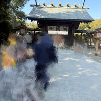 玉砂利の参道を歩く