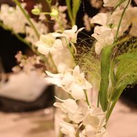 白と緑でまとめました