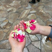 フラワーシャワーの生花