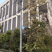建物の周りが木で囲まれているので窓から緑が見えます