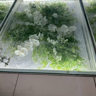 チャペルのバージンロード