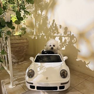 THE CLASSICA BAY RESORT (ザ クラシカ ベイリゾート)のクチコミ 演出の写真(1枚目)