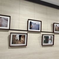 写真展示の1例