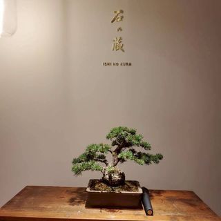 鎌倉 三河屋本店のクチコミ チャペル・挙式会場の写真(1枚目)