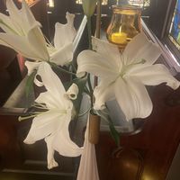 百合の生花