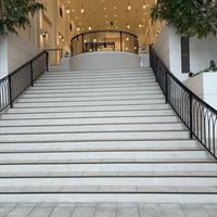 フラワーシャワーを行う大階段