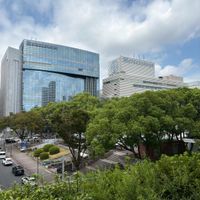 新緑がとても綺麗です。