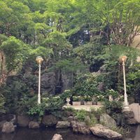空までいっぱいに広がる木々