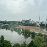 見える景色