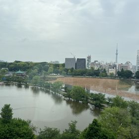 見える景色