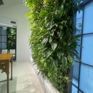 パラッツォ ドゥカーレ 麻布 (Palazzo Ducale AZABU)のクチコミ チャペル・挙式会場の写真(2枚目)