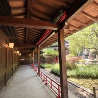 代々木八幡宮（アントワープブライダル）のチャペル・挙式会場の写真（2枚目）